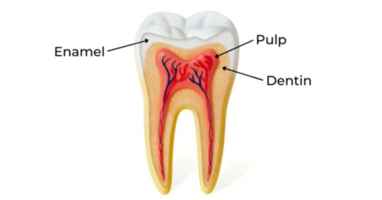 root-canal-2.jpg