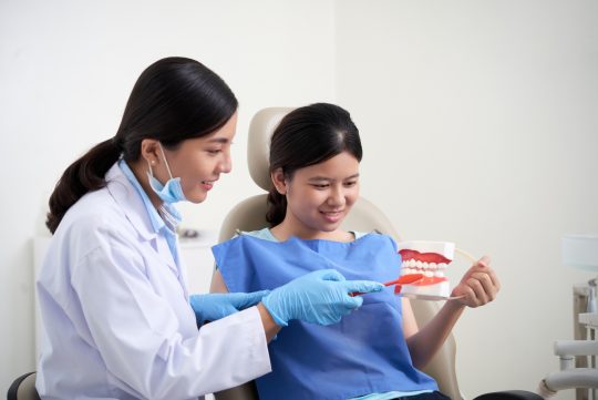 asian-female-dentist-demonstrating-teeth-brushing-technique-patient.jpg