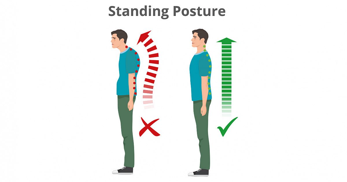 Proper Posture And Ergonomics (free Pdf Download) 