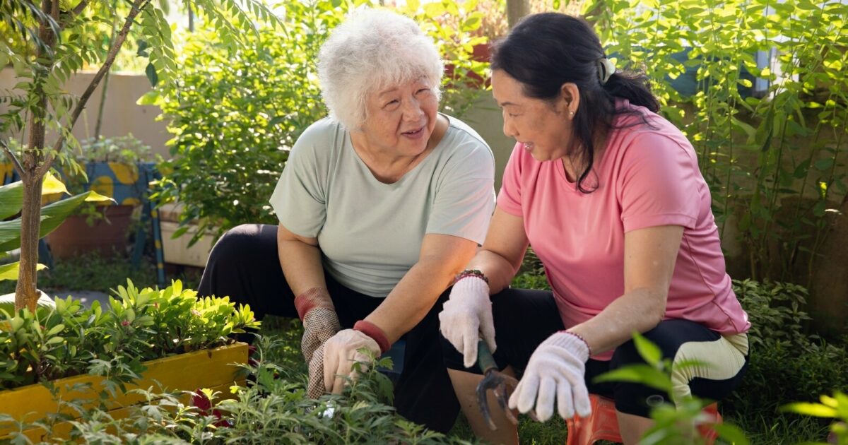 Resources | Elderly Care | NTUC Health Elderly Care